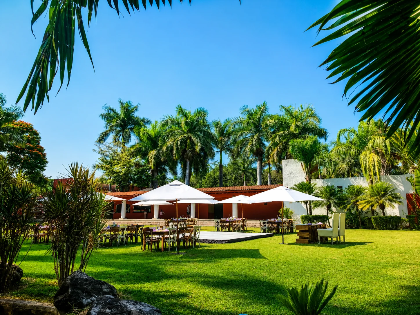 Jardín preparado para evento con sombrillas blancas y palmeras