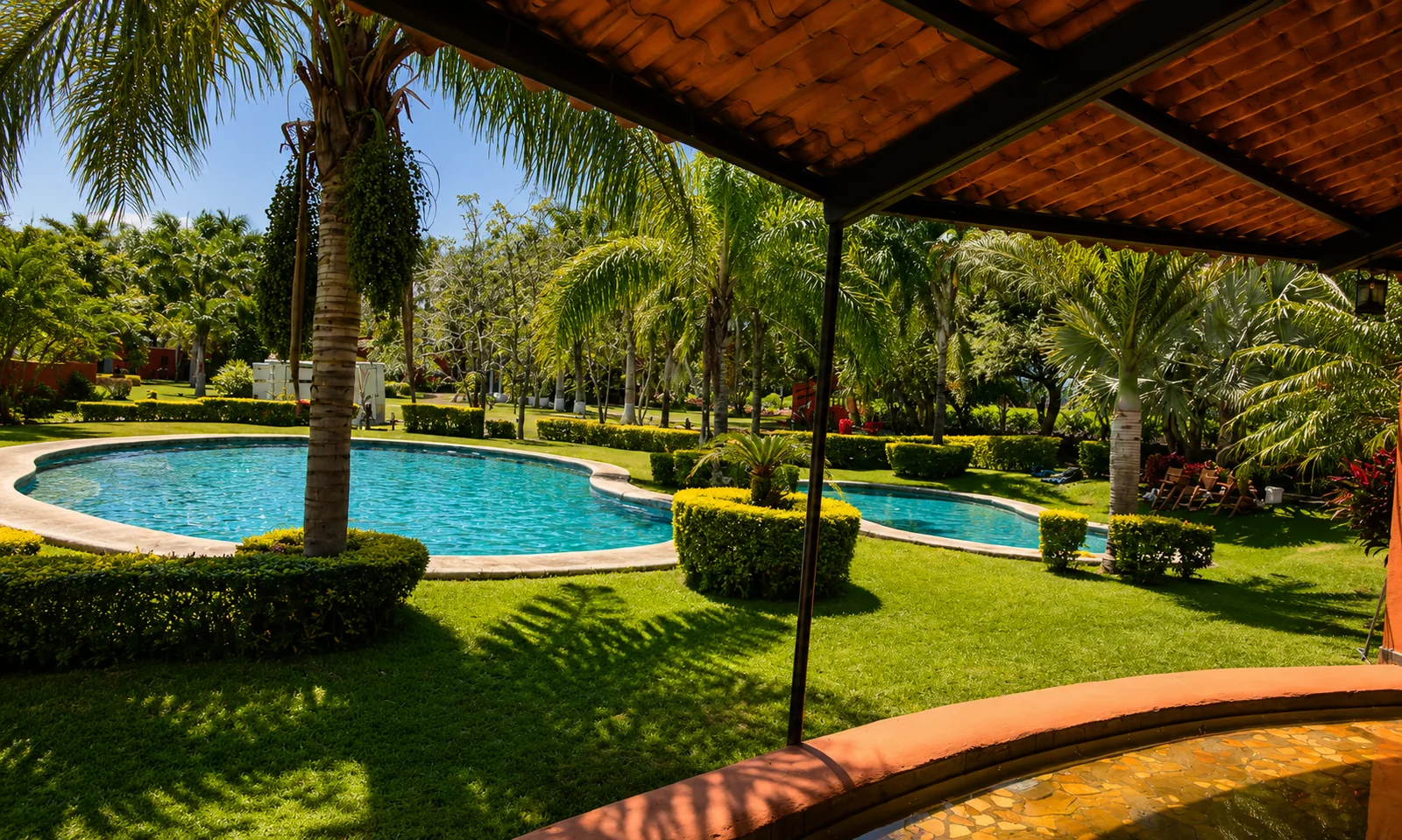 Albercas rodeadas de palmeras vistas desde una terraza